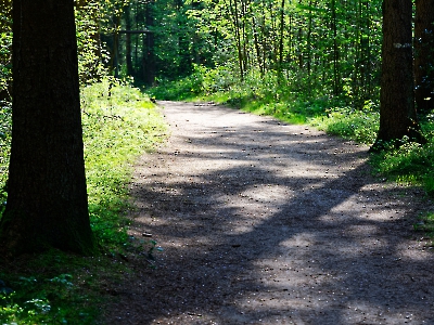 Licht und Schatten_3