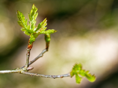 Licht und Schatten_4