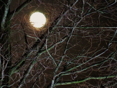 Lichter der Nacht_1