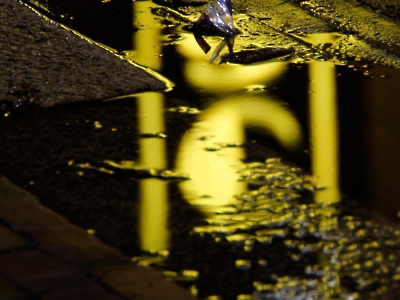 Lichter der Nacht_8