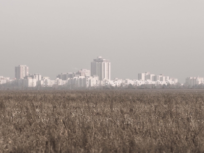 Minimalistisch_11