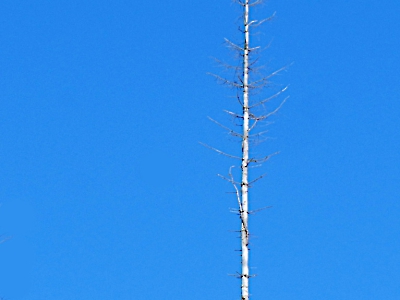 Minimalistisch_15