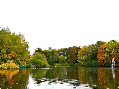 Herbst_4