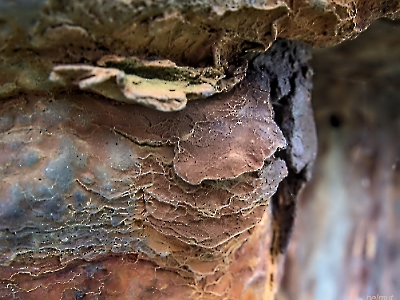 Rost Art_10