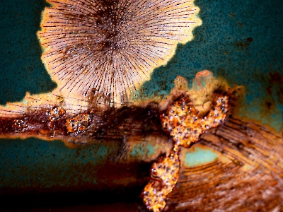 Rost Art_16