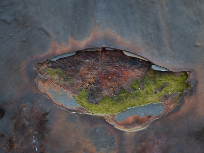 Rost Art_22