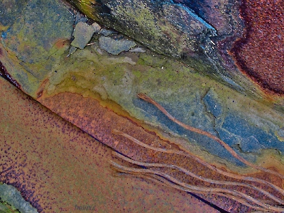 Rost Art_27