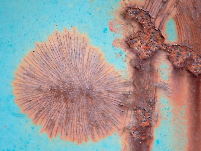 Rost Art_2