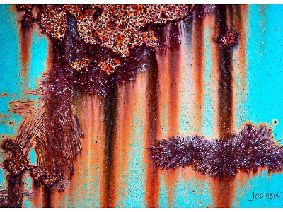 Rost Art_35