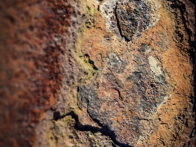 Rost Art_7