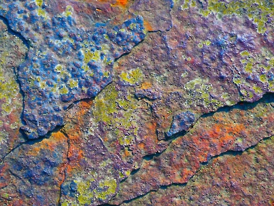 Rost Art_9