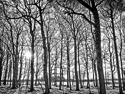 Struktur_40