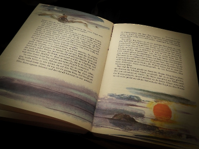 Bücher ... Lesen_21