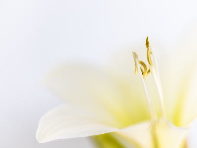 die Natur erwacht_7