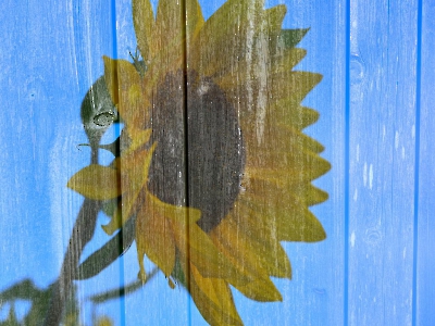 Mehrfachbelichtung_10