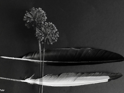 Mehrfachbelichtung_11