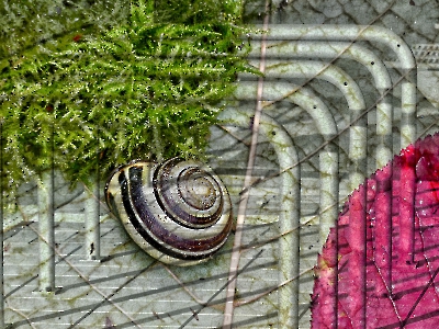 Mehrfachbelichtung_4