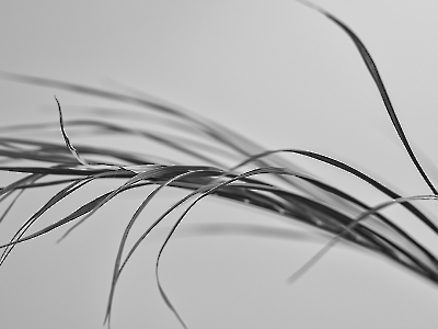 Minimalistisch_6
