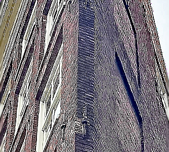 im Detail_10