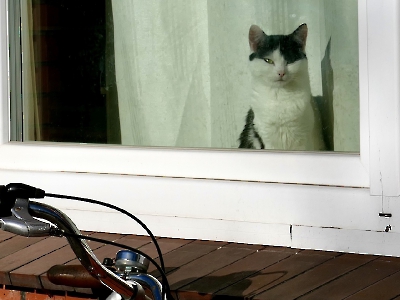 blick durch das Fenster_16