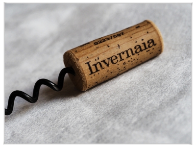 alles was mit Wein zu tun hat_11