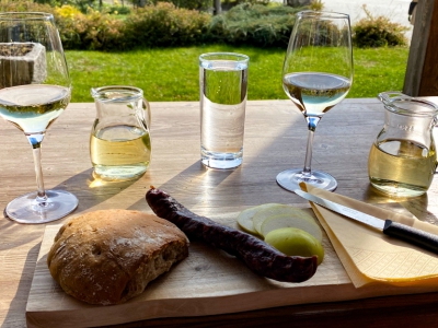 alles was mit Wein zu tun hat_13
