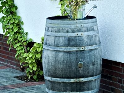 alles was mit Wein zu tun hat_16