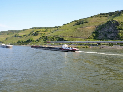 alles was mit Wein zu tun hat_17