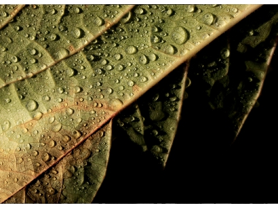 alles was mit Wein zu tun hat_21