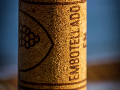 alles was mit Wein zu tun hat_3