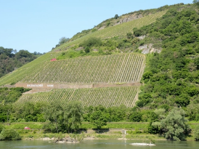 alles was mit Wein zu tun hat_4