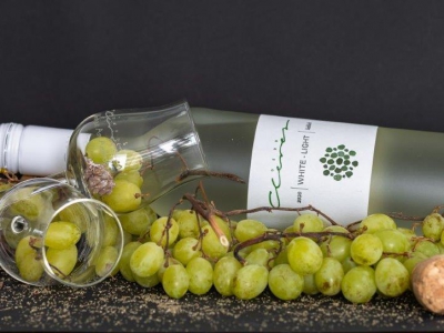 alles was mit Wein zu tun hat_8