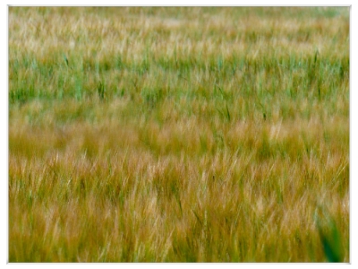 Bewegung_8