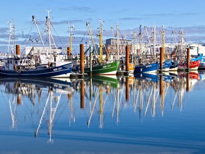 Deich und Hafen