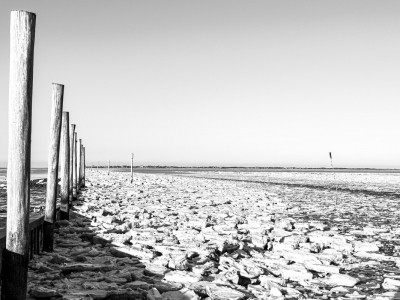 Deich und Hafen_18