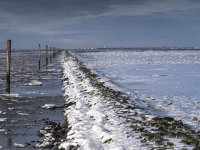Deich und Hafen_3