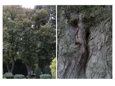 Diptychon_2