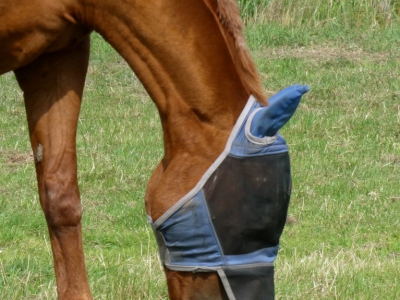 Kopfbedeckung_5