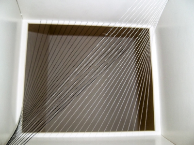 Linien_13