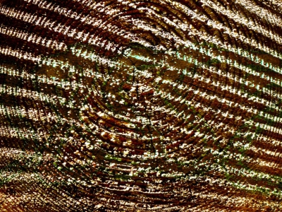 Linien_19