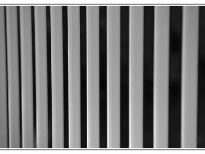 Linien_21