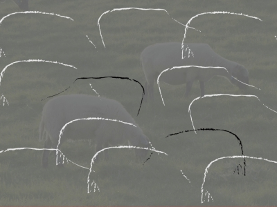 Linien_8