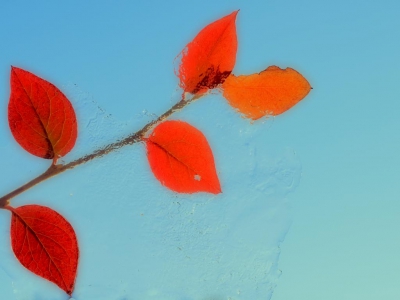 Minimalistisch mit Rot_27