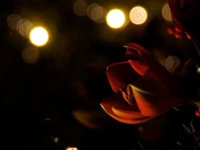 Nachtfotografie_15
