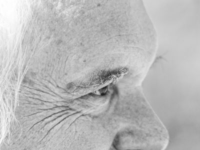 Portrait und Streetfotos