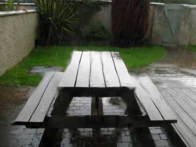 Regen_17
