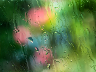 Regen_6