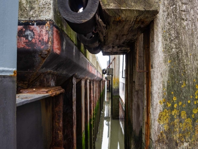 Rost_10