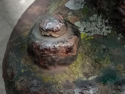 Rost_15