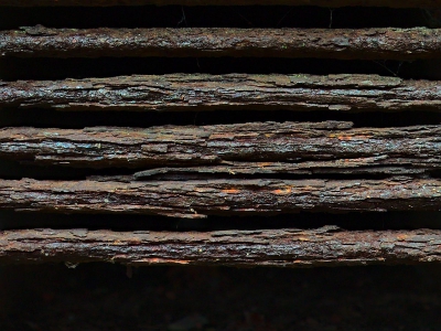 Rost_20